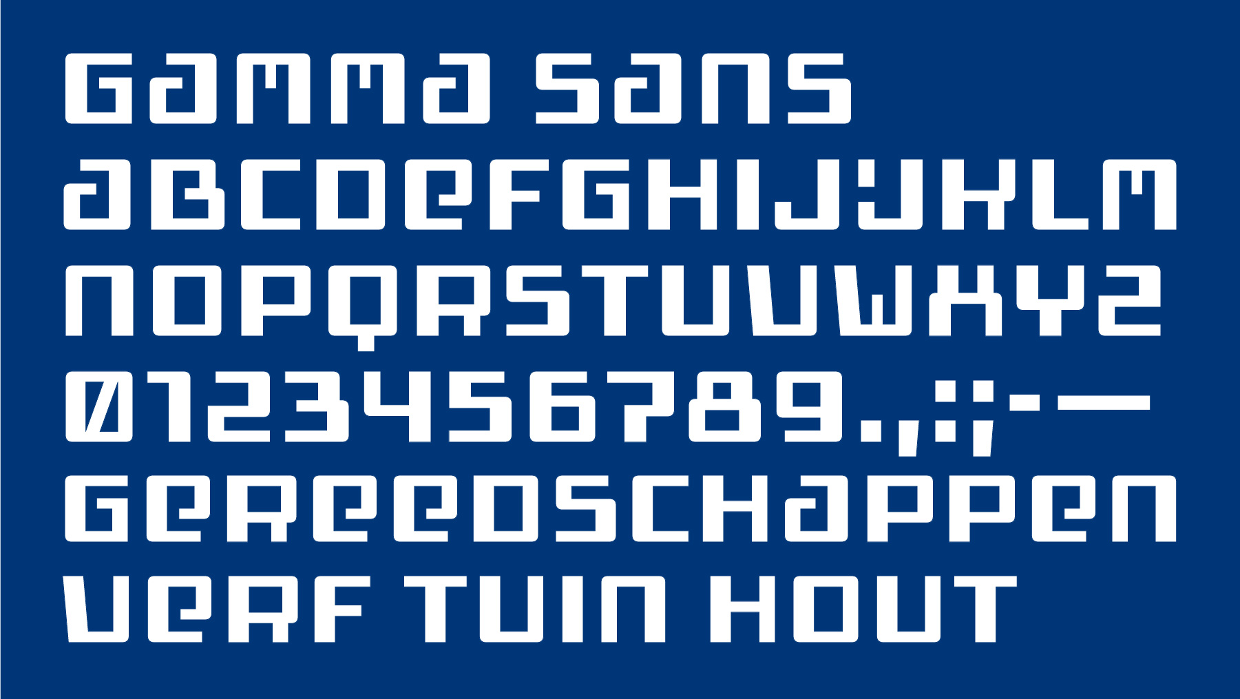 GAMMA Sans: Extending a Brand Identity